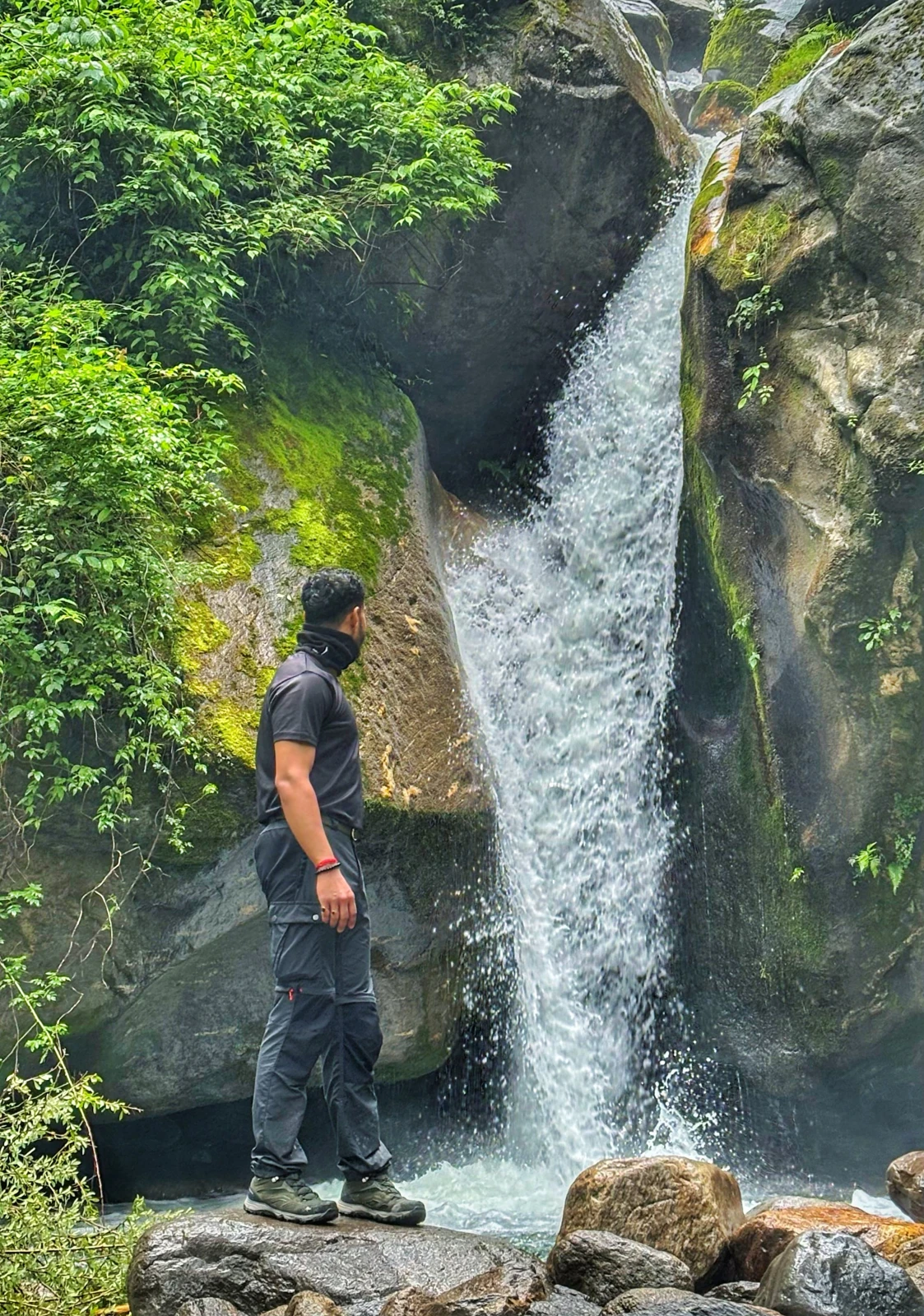 Exploring a forest waterfall