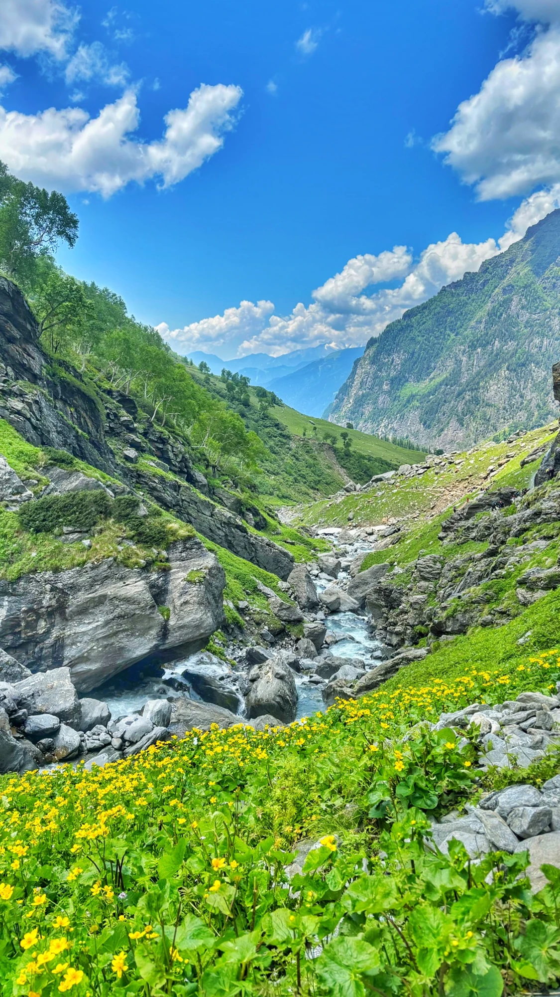 A stream through a green mountain valley
