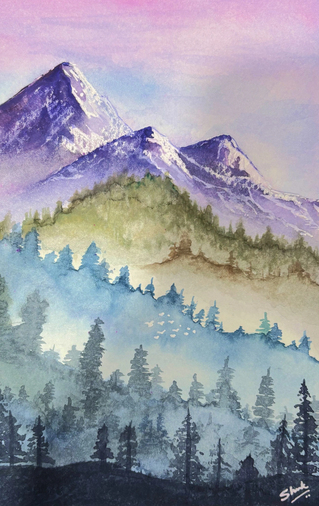 Snowy mountain above a misty evergreen forest